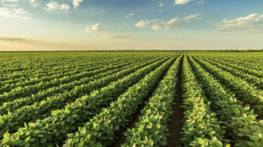 ADM Adds to Innovation Toolbox with Rollout of Digital Grain Elevator Transportation Management Technology